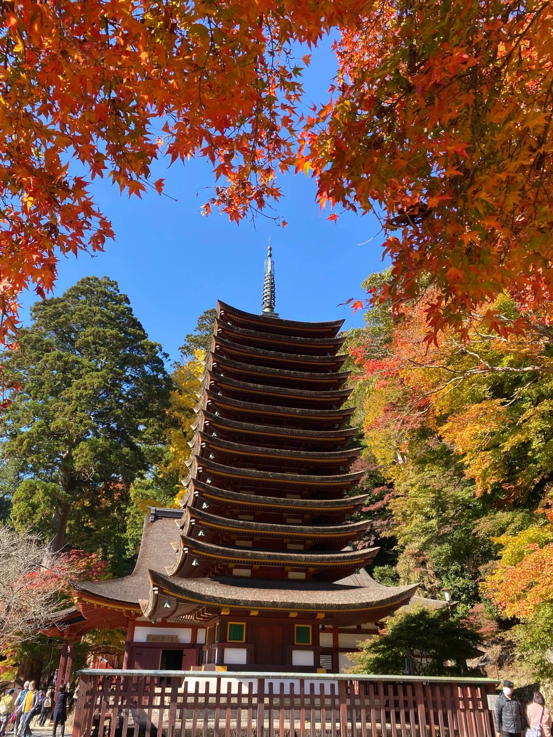 ⛩️ 단잔 신사(단잔진자) 이미지 4